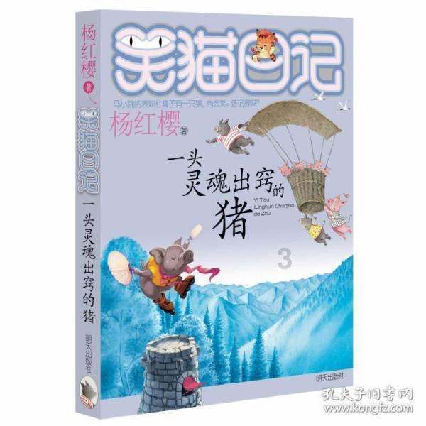 美女总裁史锐雪：编织惊天骗局，卷走上亿跑美国，锒铛入狱20年
