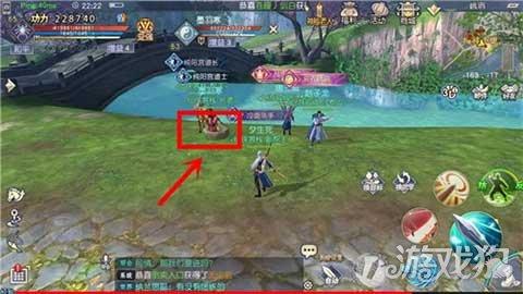 加勒比巡航