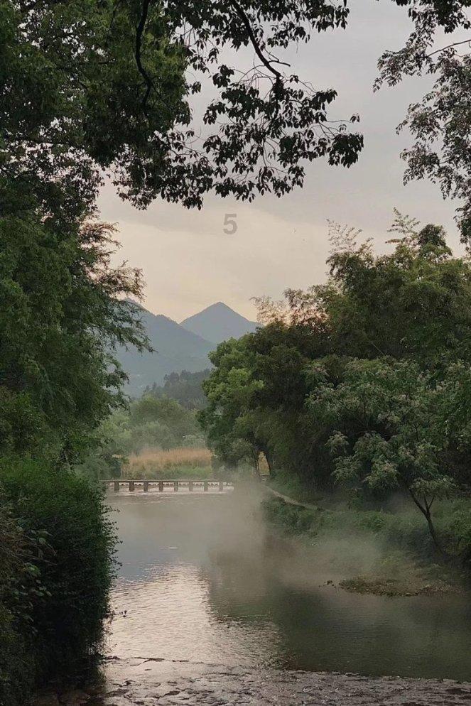 救援小巨鳄