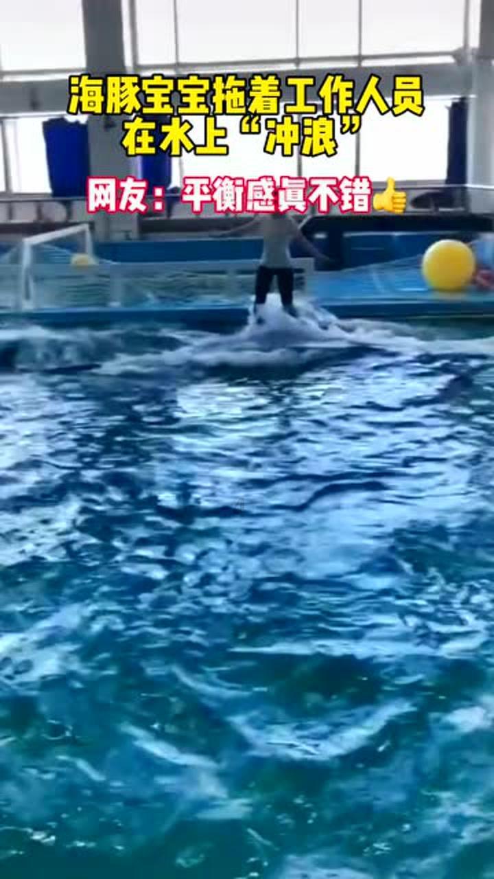 海盗寻宝记选关版